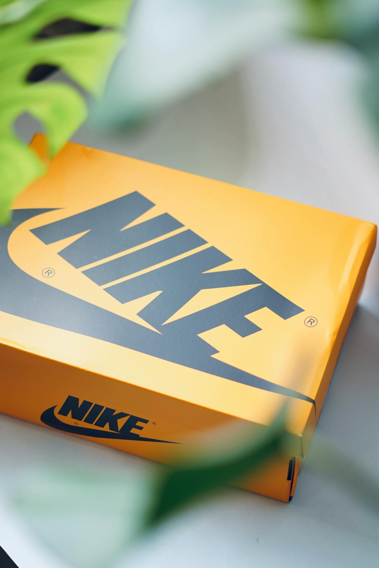 A shoebox | Source: Pexels